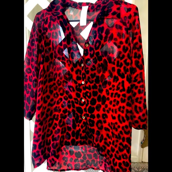 Black & Red sheer, leopard print, high low blouse. Size M. - Picture 1 of 2